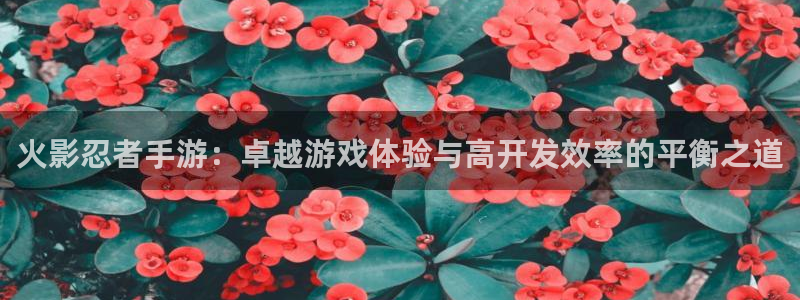 庄闲游戏单机版：火影忍者手游：卓越游戏体验与高开发效率的平衡