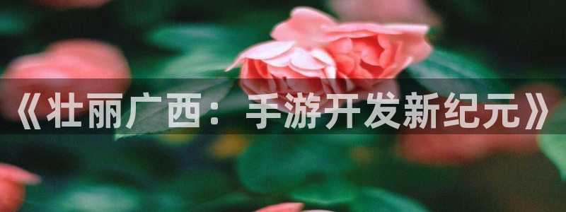 庄闲是什么生肖：《壮丽广西：手游开发新纪元》