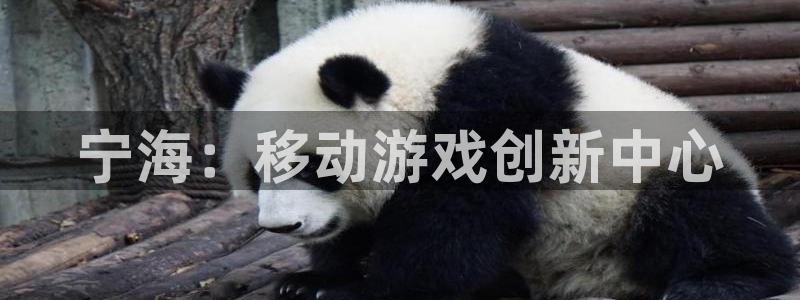 庄闲最稳公式图解：宁海：移动游戏创新中心