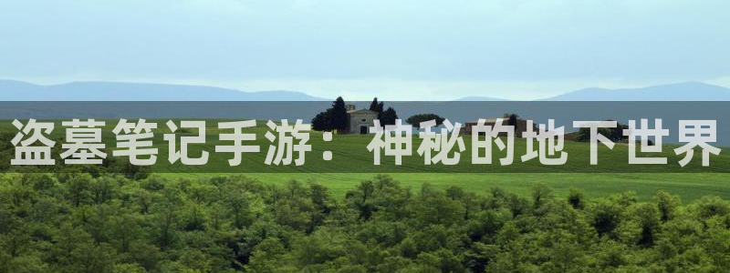 庄闲输了怎么办：盗墓笔记手游：神秘的地下世界