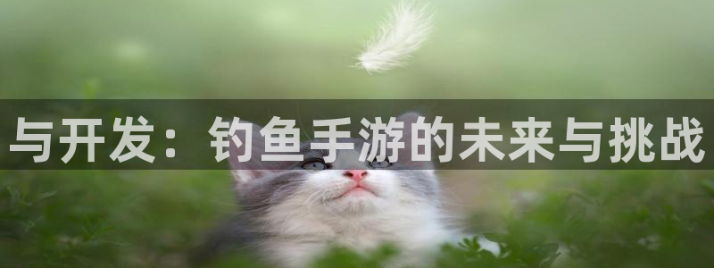 庄闲是什么游戏：与开发：钓鱼手游的未来与挑战