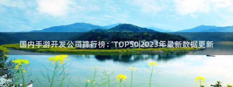 庄闲游戏版本：国内手游开发公司排行榜：TOP50|2023年