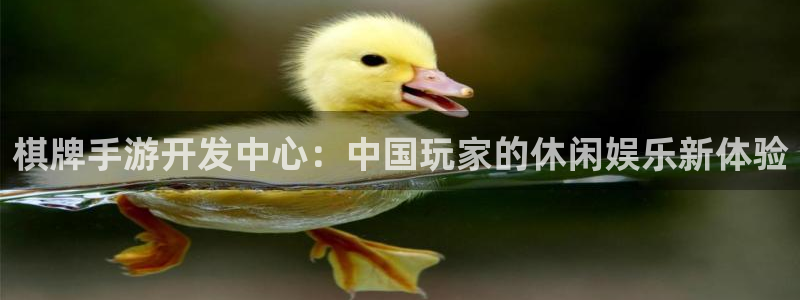 庄闲游戏规则详解及注意事项：棋牌手游开发中心：中国玩家的休闲