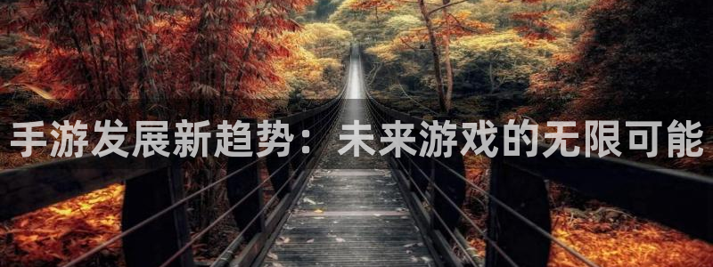 庄闲高胜率玩法：手游发展新趋势：未来游戏的无限可能