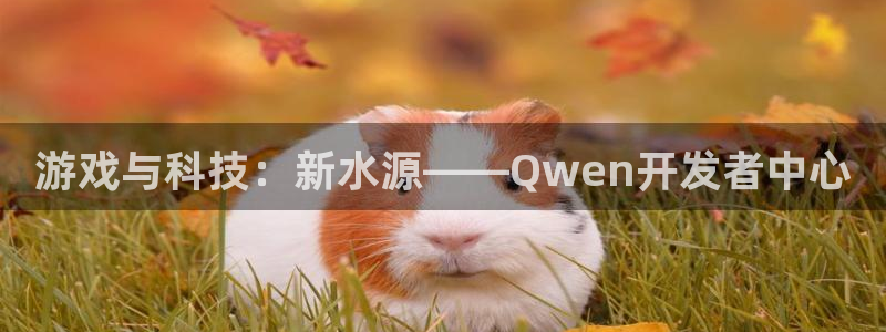 庄闲游戏代理：游戏与科技：新水源——Qwen开发者中心