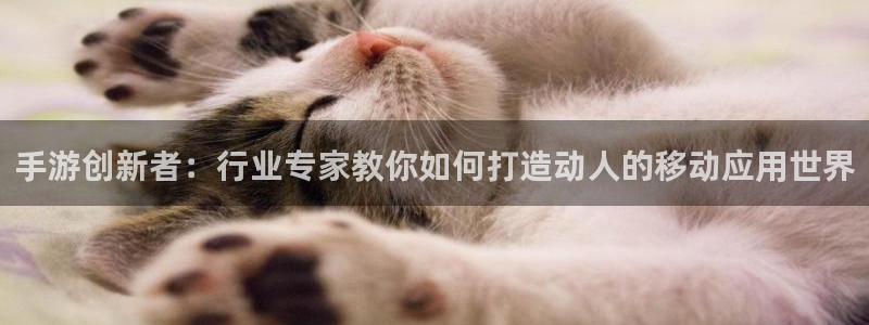 庄闲游戏最稳赢的方法：手游创新者：行业专家教你如何打造动人的