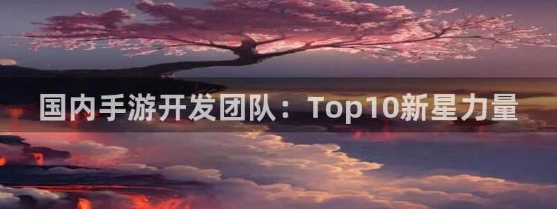 庄闲游戏为什么这么难：国内手游开发团队：Top10新星力量