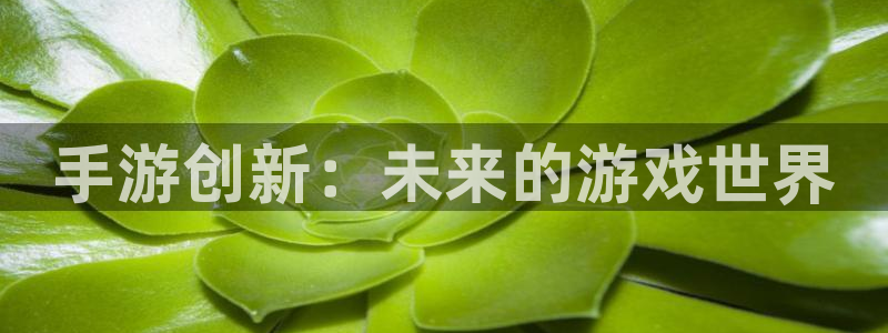 庄闲游戏平台app：手游创新：未来的游戏世界