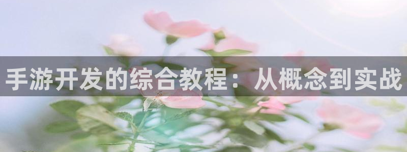 庄闲视频讲解：手游开发的综合教程：从概念到实战