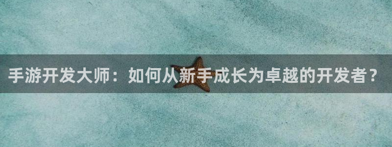 庄闲游戏app：手游开发大师：如何从新手成长为卓越的开发者？