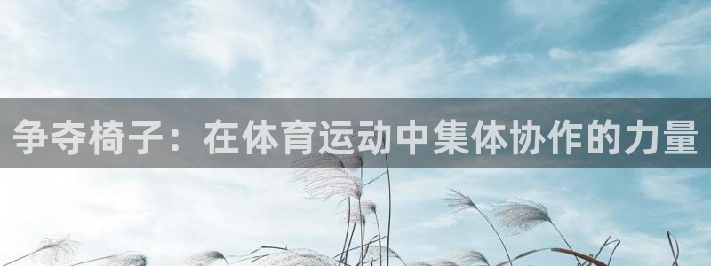 xc体育