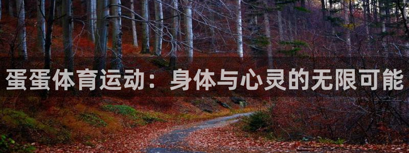 xc体育app官方网站