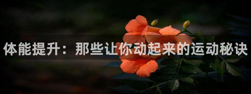xc体育：体能提升：那些让你动起来的运动秘诀