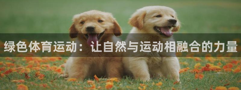 xc体育：绿色体育运动：让自然与运动相融合的力量