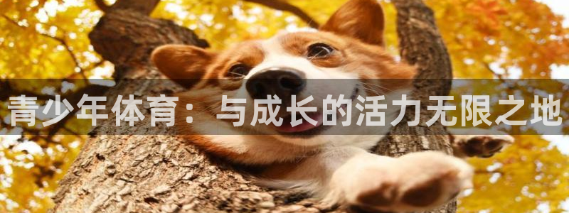 xc体育app官方网站：青少年体育：与成长的活力无限之地
