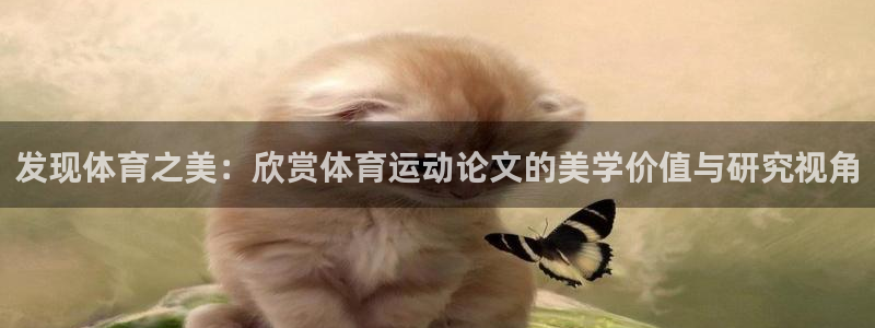 xc体育