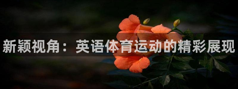 xc体育