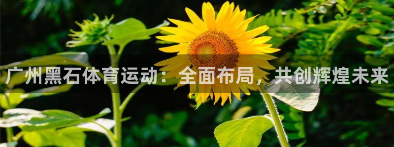 xc体育app官方网站